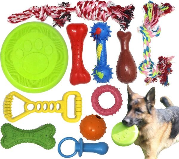 Jalousie Chew Toy Natural Rubber chew Toy for Interactive Play Toy Ball Rope Rubber Value Set for Small